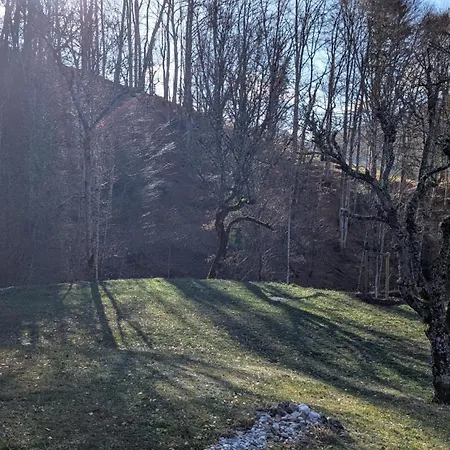 Casa vacanze La Maison D'alpage La Forclaz, Rivière&forêt Talloires